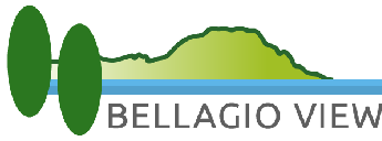 bellagio view